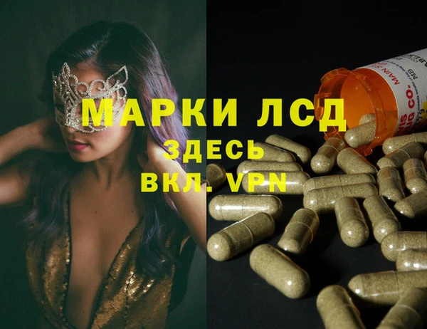 гашик Богородицк