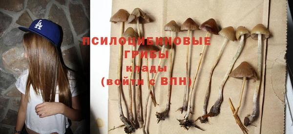 альфа пвп Богданович