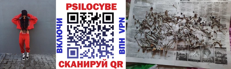 darknet Telegram  Кочубеевское  Псилоцибиновые грибы Psilocybe 