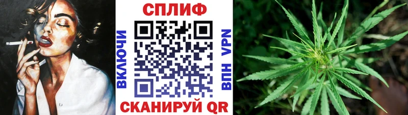 Каннабис конопля Кочубеевское